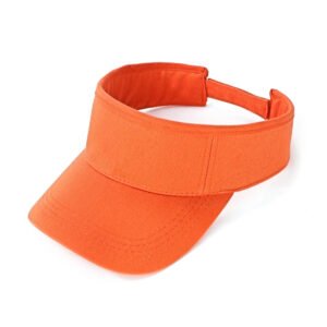 AH165 Visor
