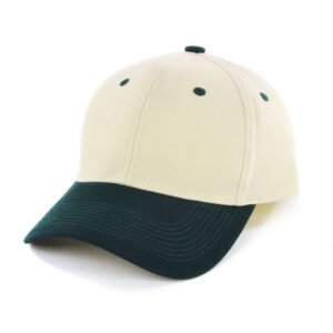 AH310 HBC two tone Cap