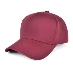 AH331 D-Lux 5 Panel Cap