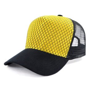 AH363 Aspect Cap
