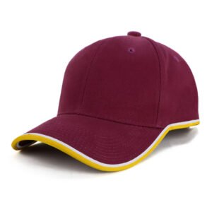 AH477 Michigan Cap